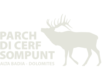 Logo Parch di Cerf Sompunt